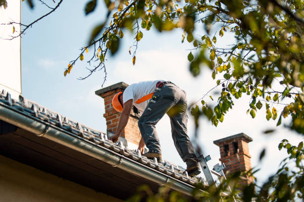 Roof Installation Near Me in Holland, MI