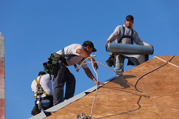 Quick and Trustworthy Emergency Roof Repair Services in Holland, MI