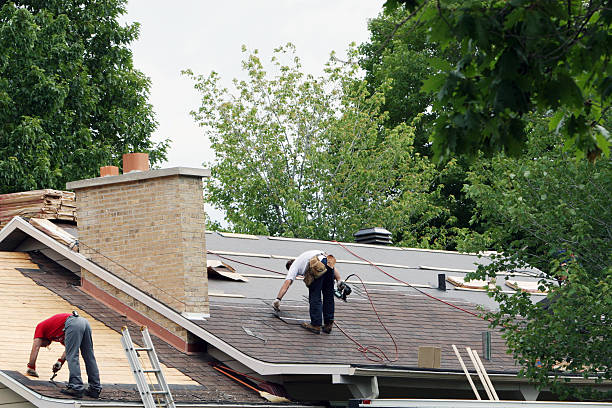Professional Roofing Contractor in Holland, MI
