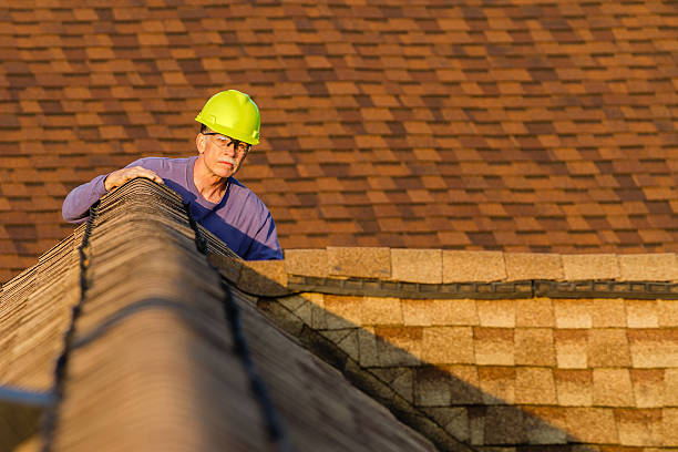 Best Emergency Roof Repair  in Holland, MI